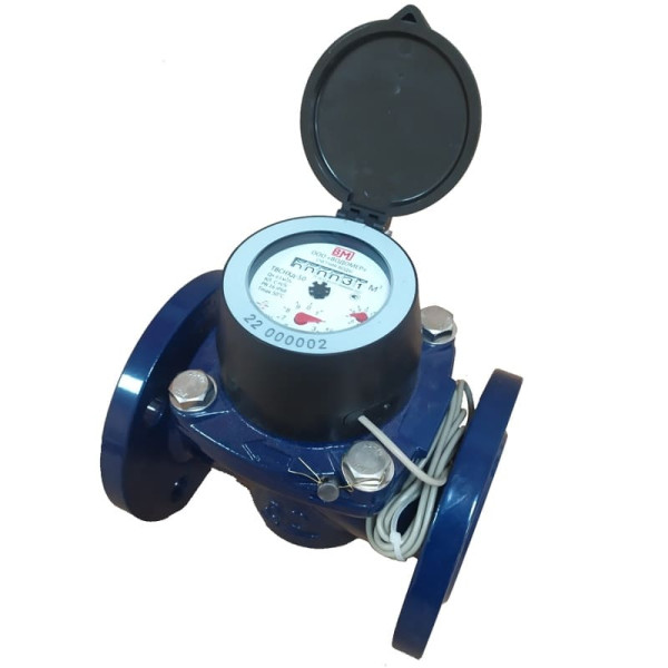 ТВСНХд-50 IP68, турбинный счетчик холодной воды 100л/имп