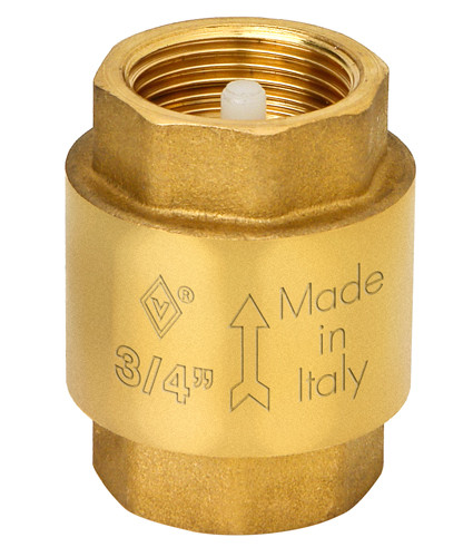 (BG) 191 Обрат.клапан с нейлон.затв. 2" (3)(12)