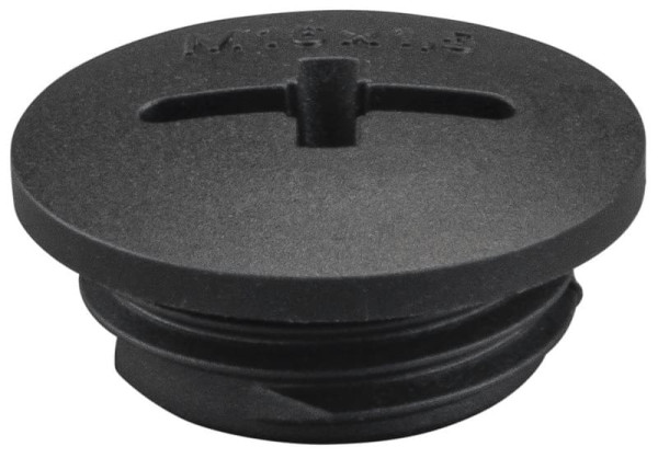 Заглушка резьбовая REMS арт. 032124